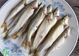 孕妇可以吃白条鱼吗？白条鱼孕妇能吃吗？
