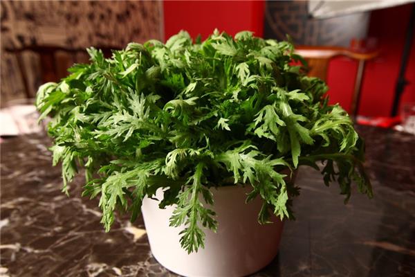 茼蒿吃叶子还是吃杆 茼蒿吃多了有什么坏处