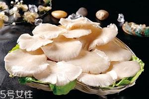 平菇发黄还能吃吗 平菇的储存技巧