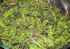 蕨菜干的营养价值_蕨菜干的功效与作用及食用方法