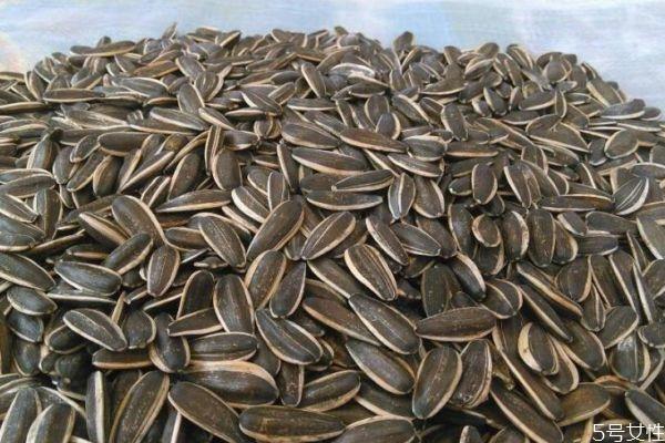 葵花籽是从哪里来的呢 一般葵花籽几月份成熟呢