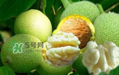 ​青皮核桃几斤出一斤干核桃？青皮核桃什么时候成熟