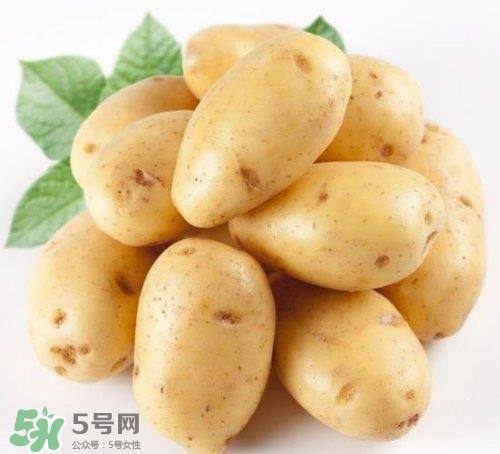土豆叶子可以吃吗?土豆叶子的功效与作用
