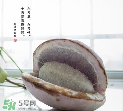 八月瓜可以泡酒吗？八月瓜可以治乙肝吗