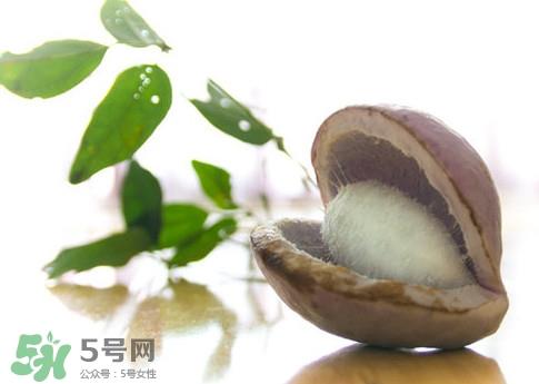 八月瓜可以泡酒吗？八月瓜可以治乙肝吗