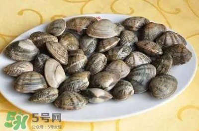 ​蛤蜊蒸蛋怎么做？为什么蛤蜊蒸蛋有涩味？
