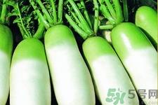 白萝卜的热量是多少？白萝卜一天吃多少好？