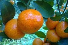 冰糖橘上火吗？冰糖橘吃多了会上火吗？