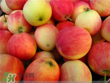 沙果是什么?沙果和海棠果的区别