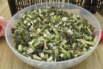 ​益母草喝多了会怎么样 益母草喝多长时间最好