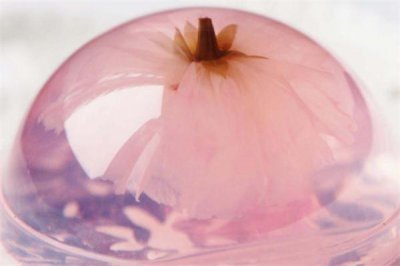 ​樱花果冻的做法 樱花果冻制作教程