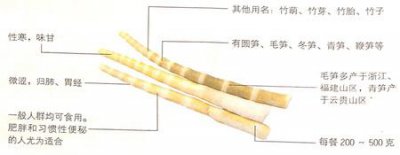 ​竹笋的功效作用之清热化痰,健脾通便