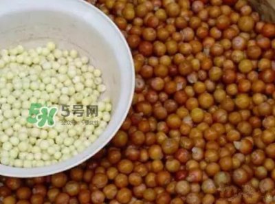 ​鸡头米一次吃多少合适？鸡头米可以多吃吗