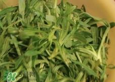 面条菜怎么炒好吃?面条菜怎么炒着吃?