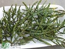 什么是螃蟹脚茶？螃蟹脚茶的功效禁忌