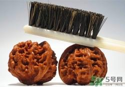 毛核桃是什么?毛核桃的功效与作用