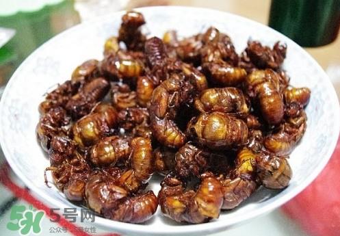 蝉蛹什么人不能吃？蝉蛹不能和什么一起吃