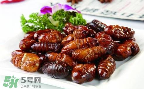蝉蛹什么人不能吃？蝉蛹不能和什么一起吃