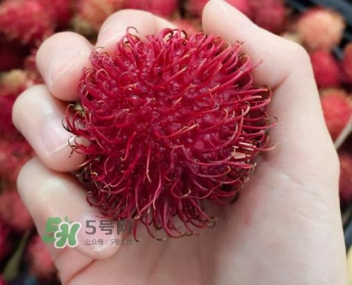 红毛丹是什么水果？红毛丹是热性水果吗？