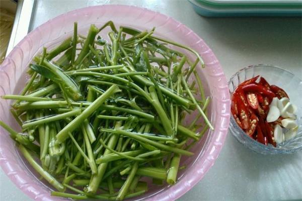 空心菜老了可以吃吗 空心菜老了怎么做好吃