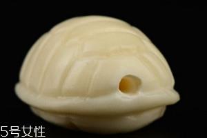 象牙果是什么东西 象牙果为什么叫象牙果