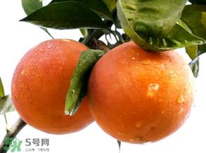 血橙为什么没有血丝？血橙为什么不红？