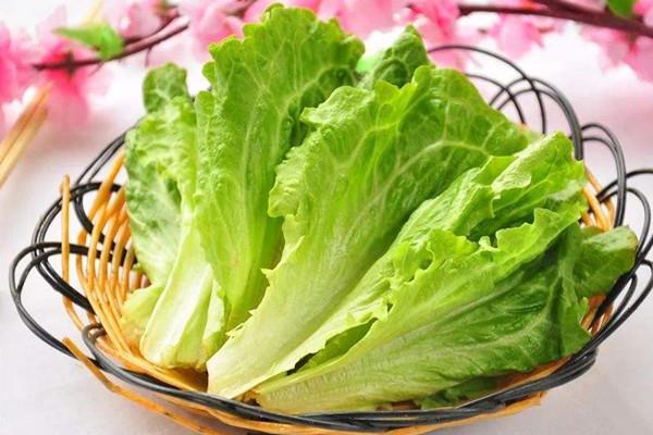 生菜是不是感光食物 生菜属于发物吗