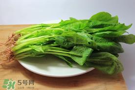 香椿和菠菜能一起吃吗？香椿和菠菜能一起吃好吗？