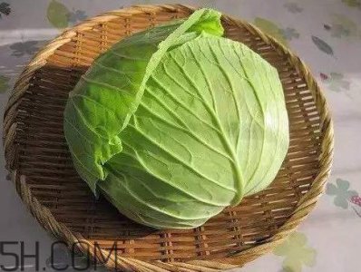 ​卷心菜热量是多少 一个卷心菜热量