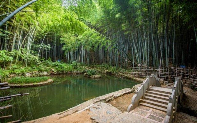 旅游江苏十大网红景点介绍（江苏有哪些热门景区）  2