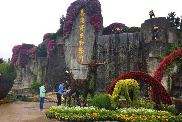 旅游西安旅游最值得去的10个景点(西安旅游攻略景点必去)  5