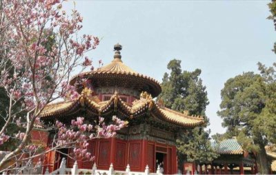 ​御花园里叫出来探秘皇家花园的历史与文化