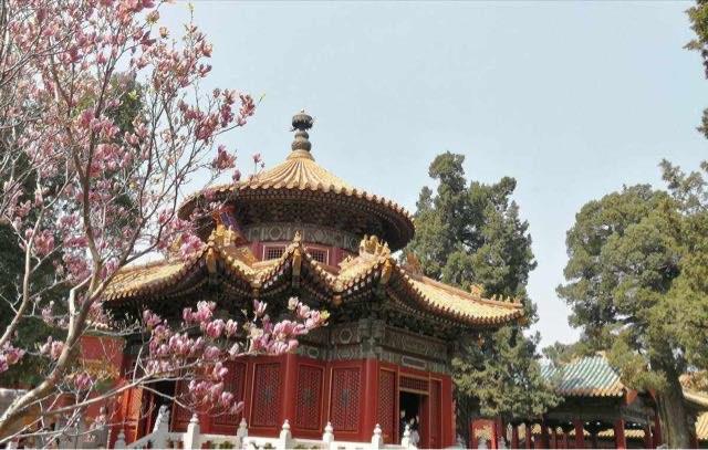 旅游御花园里叫出来探秘皇家花园的历史与文化  1