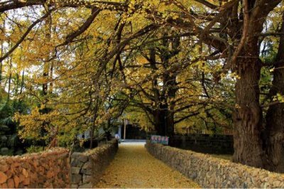 ​国内11月最适合去的十大旅行地(11月旅游去哪里好玩)