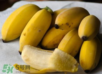 ​皇帝蕉是不是香蕉？皇帝蕉与普通香蕉区别