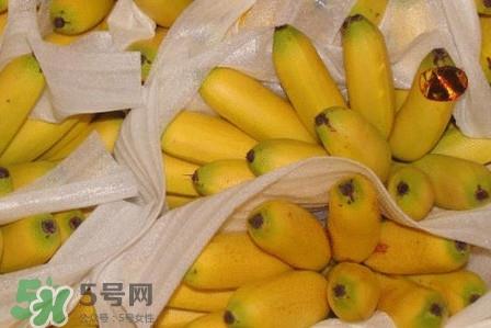 皇帝蕉是不是香蕉？皇帝蕉与普通香蕉区别