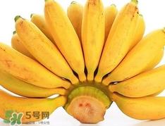 皇帝蕉是不是香蕉？皇帝蕉与普通香蕉区别