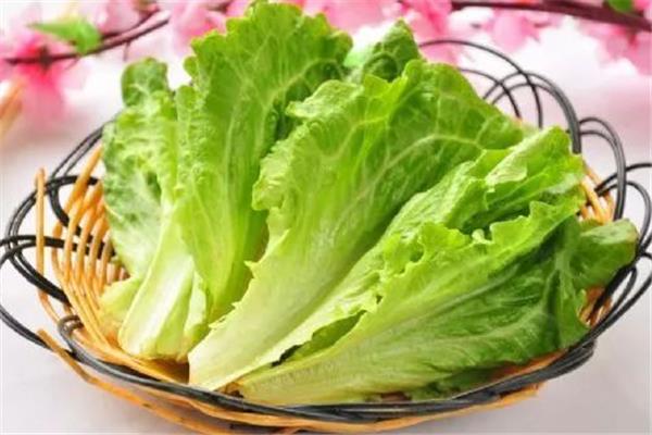 生菜洗干净了可以直接吃吗 生菜洗了隔夜还能吃吗