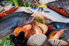 鱼冷冻后还有营养吗?鱼冷冻后怎么做好吃