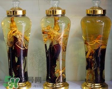 党参可以泡酒吗?党参泡酒的功效与作用