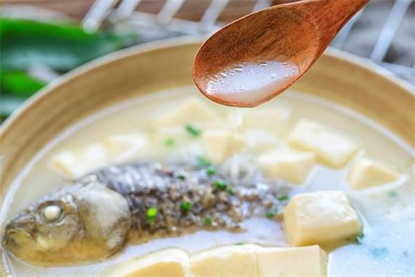 鲫鱼豆腐汤放牛奶吗 鲫鱼豆腐汤怎么做汤白