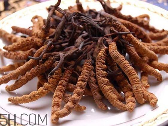 冬虫夏草可以人工种植吗？冬虫夏草可不可以放在冰箱里