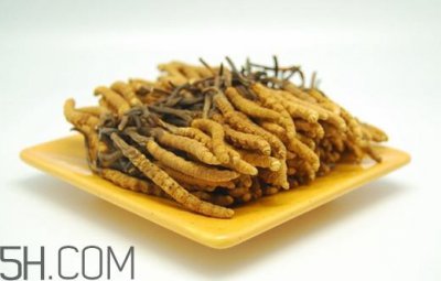 ​冬虫夏草可以人工种植吗？冬虫夏草可不可以放在冰箱里