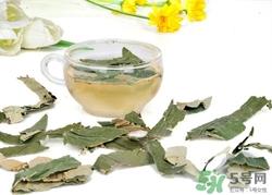 荷叶茶可以天天喝吗?荷叶茶喝多了有什么害处