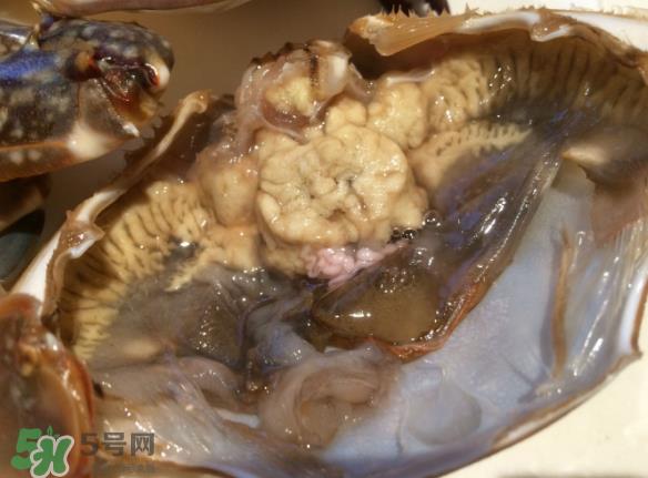 梭子蟹是野生的吗？梭子蟹养的还是野生的？