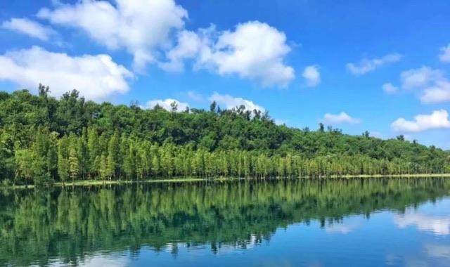 旅游广东湛江十大旅游景区（广东湛江有什么好玩的地方景点）  1