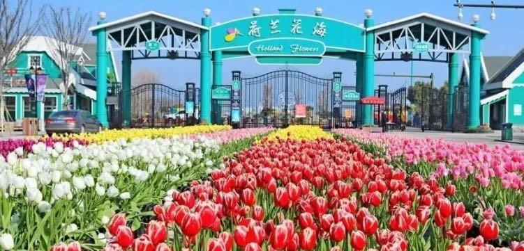 旅游春游踏青五大好去处（全国最好玩的春游景点）  4