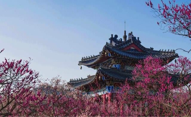 旅游春游踏青五大好去处（全国最好玩的春游景点）  5