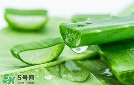 敏感肌肤可以用芦荟胶吗 芦荟胶敏感肌肤能用吗