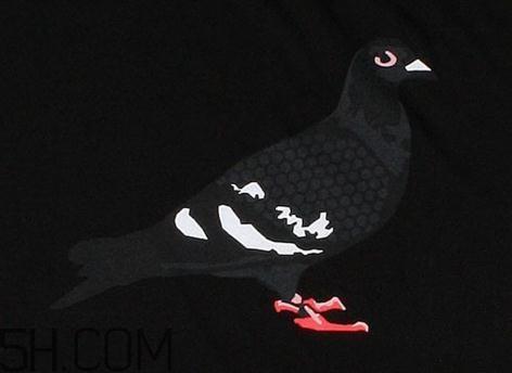 nike sb dunk low pigeon黑鸽子怎么买_抽签方式